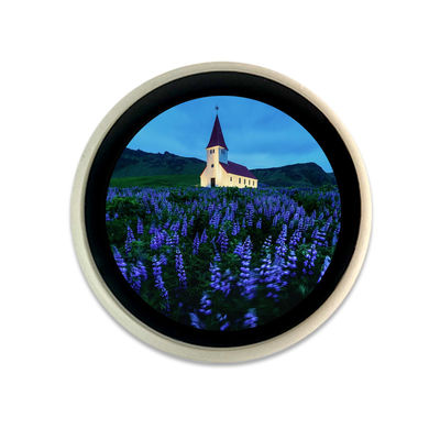 良い価格 1.28インチESP32の白い貝CTP LCDのtftは容量性接触を表示する オンライン